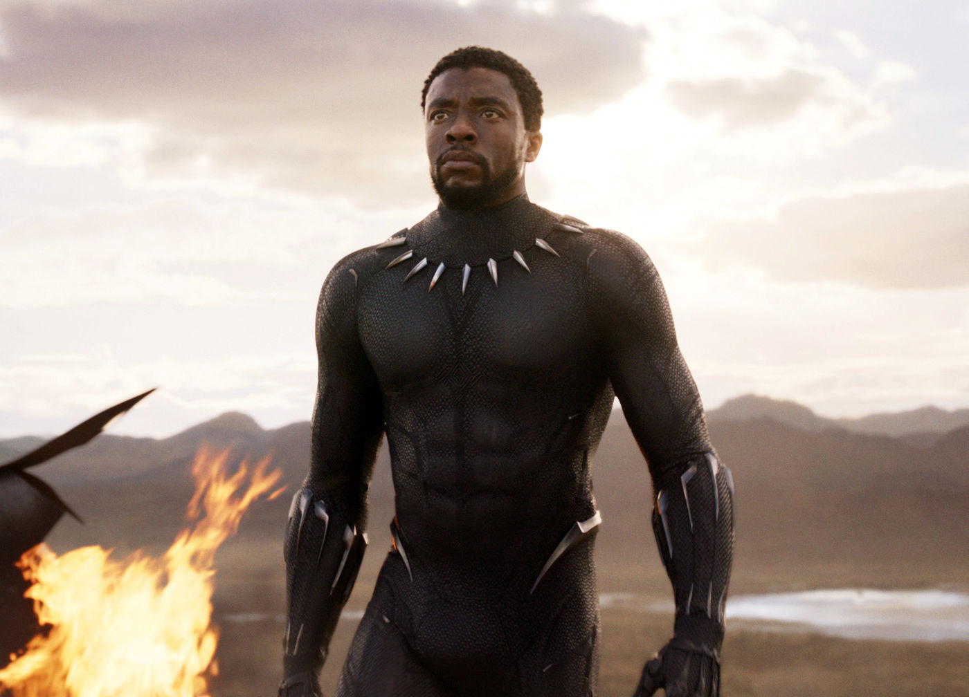 Black Panther Chadwick